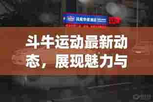 斗牛运动最新动态,展现魅力与激情的视频更新
