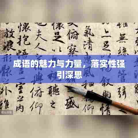 成语的魅力与力量,落实性强引深思