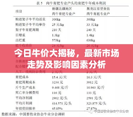 今日牛价大揭秘,最新市场走势及影响因素分析