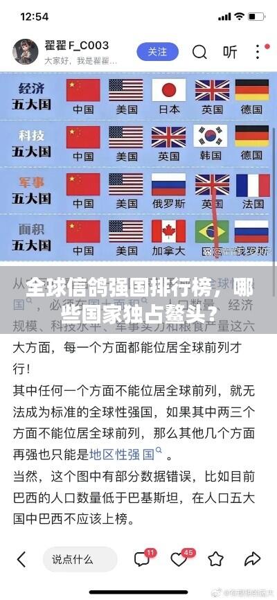 全球信鸽强国排行榜，哪些国家独占鳌头？