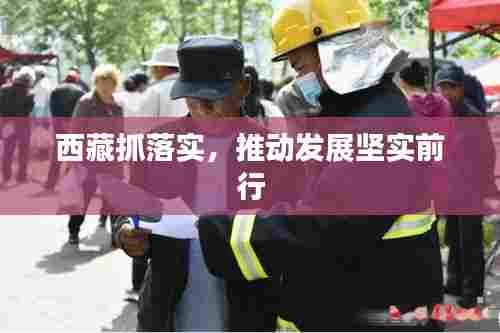 西藏抓落实,推动发展坚实前行