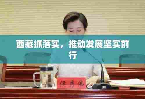 西藏抓落实,推动发展坚实前行