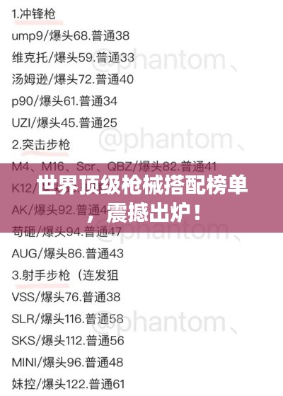 世界顶级枪械搭配榜单,震撼出炉!