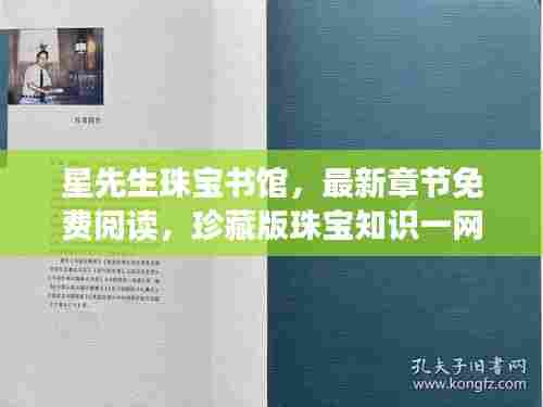 星先生珠宝书馆，最新章节免费阅读，珍藏版珠宝知识一网打尽