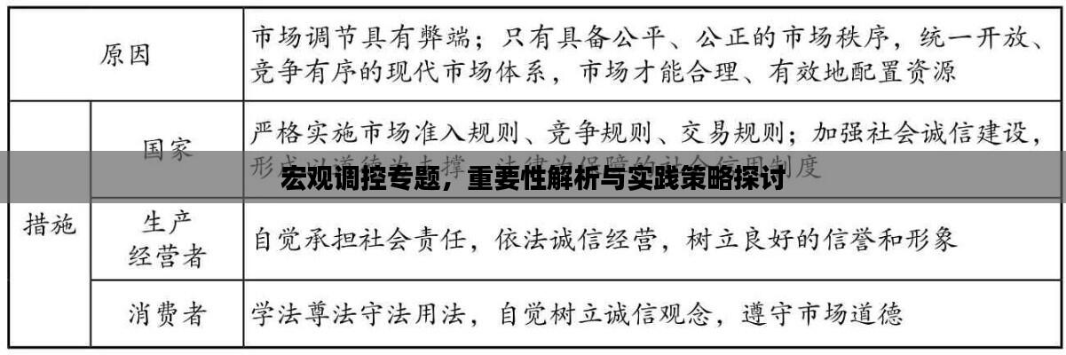 宏观调控专题,重要性解析与实践策略探讨