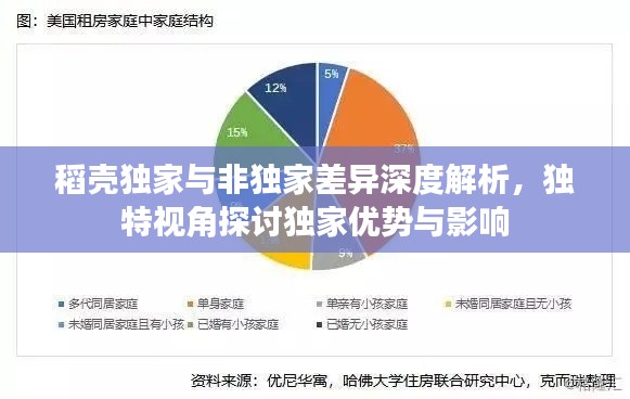 稻壳独家与非独家差异深度解析,独特视角探讨独家优势与影响