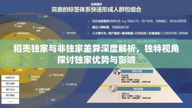稻壳独家与非独家差异深度解析,独特视角探讨独家优势与影响
