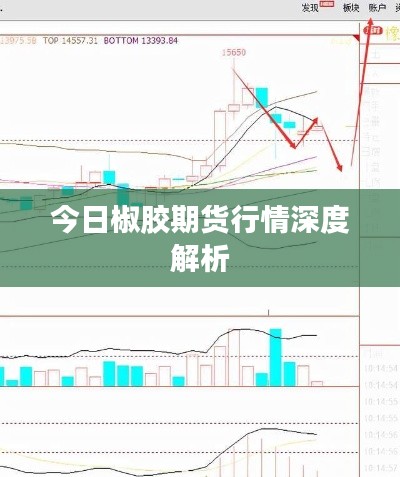 今日椒胶期货行情深度解析
