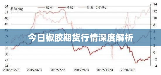 今日椒胶期货行情深度解析