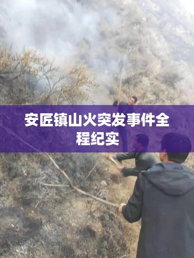 安匠镇山火突发事件全程纪实