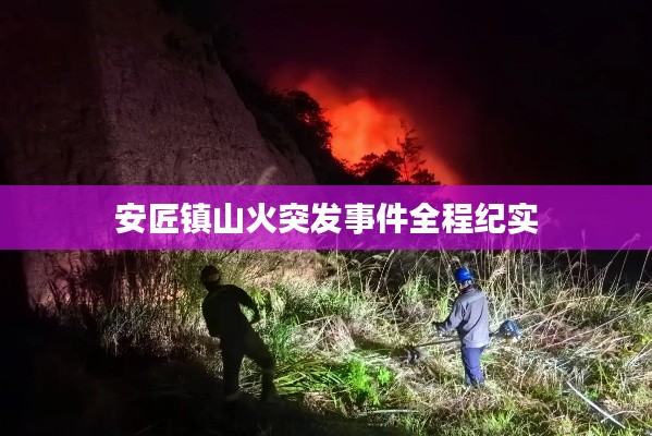安匠镇山火突发事件全程纪实