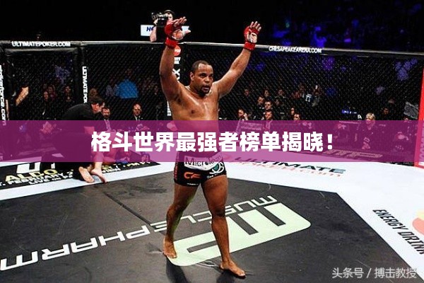格斗世界最强者榜单揭晓！