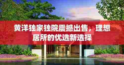 黄洋独家独院震撼出售,理想居所的优选新选择