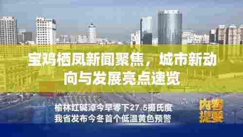 宝鸡栖凤新闻聚焦，城市新动向与发展亮点速览