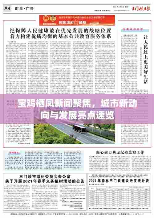 宝鸡栖凤新闻聚焦,城市新动向与发展亮点速览