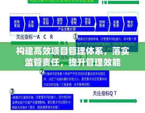 构建高效项目管理体系，落实监管责任，提升管理效能