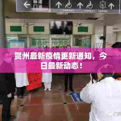 贺州最新疫情更新通知，今日最新动态！