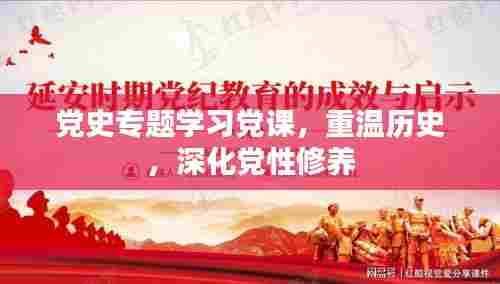 党史专题学习党课，重温历史，深化党性修养