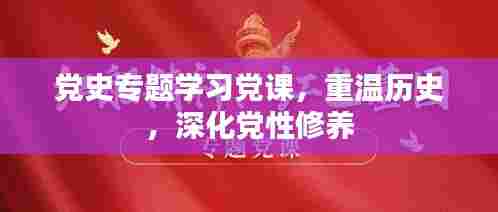 党史专题学习党课,重温历史,深化党性修养