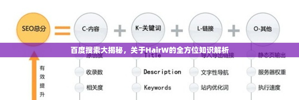 百度搜索大揭秘，关于HairW的全方位知识解析