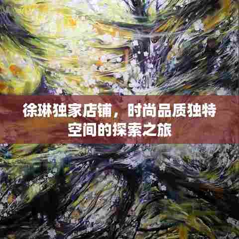 徐琳独家店铺，时尚品质独特空间的探索之旅