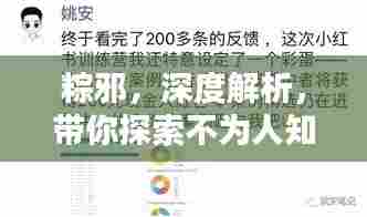 粽邪,深度解析,带你探索不为人知的秘密