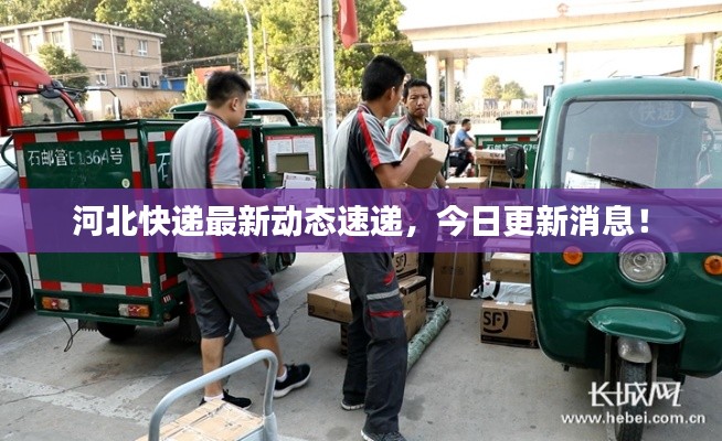 河北快递最新动态速递，今日更新消息！