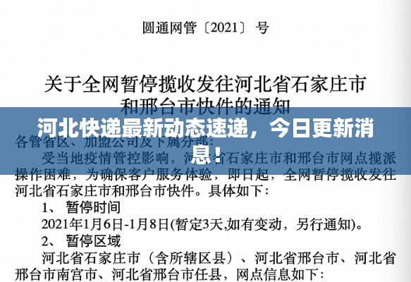 河北快递最新动态速递,今日更新消息!
