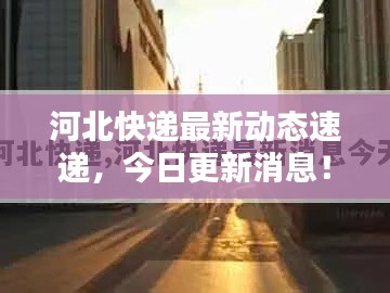 河北快递最新动态速递,今日更新消息!