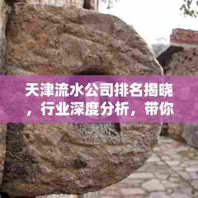 天津流水公司排名揭晓，行业深度分析，带你了解企业实力榜单！