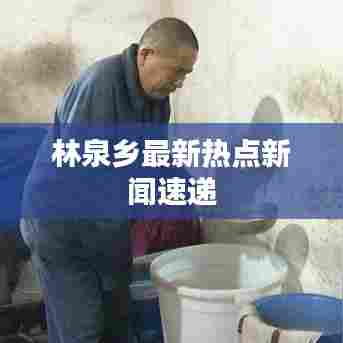 林泉乡最新热点新闻速递