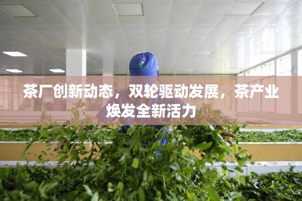 茶厂创新动态,双轮驱动发展,茶产业焕发全新活力