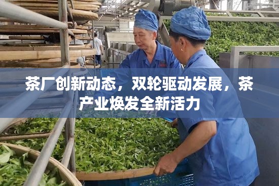 茶厂创新动态,双轮驱动发展,茶产业焕发全新活力