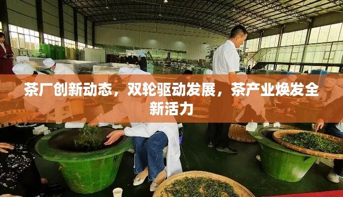茶厂创新动态,双轮驱动发展,茶产业焕发全新活力