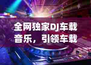 全网独家DJ车载音乐，引领车载娱乐新风尚