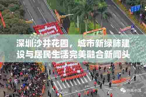 深圳沙井花园，城市新绿肺建设与居民生活完美融合新闻头条