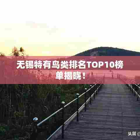 无锡特有鸟类排名TOP10榜单揭晓!