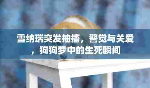 鸟吏鼈官 第6页