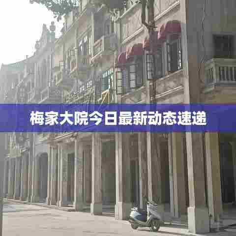 梅家大院今日最新动态速递