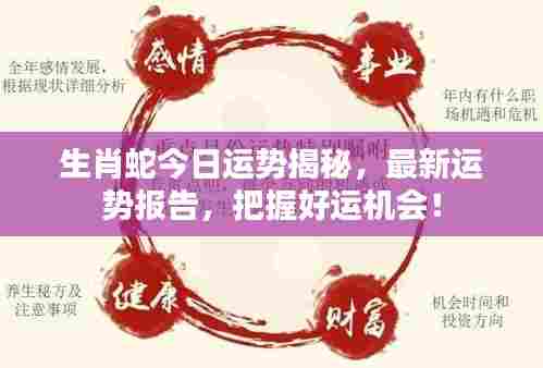生肖蛇今日运势揭秘,最新运势报告,把握好运机会!