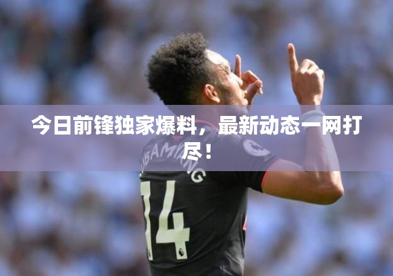 今日前锋独家爆料,最新动态一网打尽!