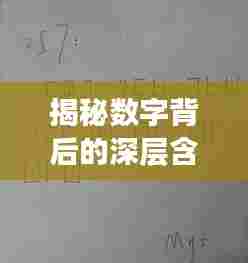 揭秘数字背后的深层含义，不断等于多少？