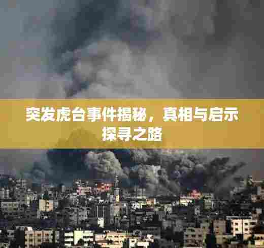 突发虎台事件揭秘,真相与启示探寻之路