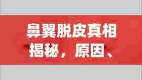 鼻翼脱皮真相揭秘,原因、对策与日常护理全解析