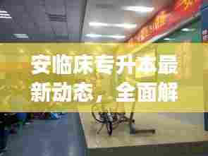 安临床专升本最新动态，全面解读最新消息