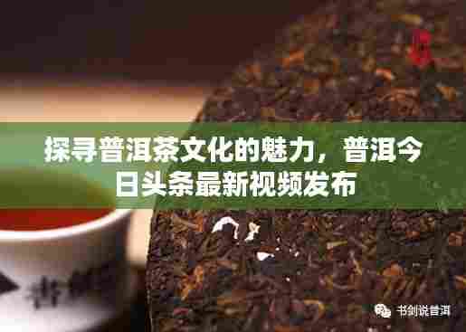 探寻普洱茶文化的魅力，普洱今日头条最新视频发布