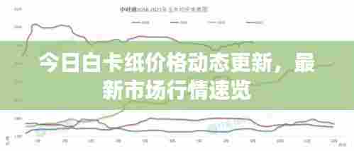 今日白卡纸价格动态更新,最新市场行情速览