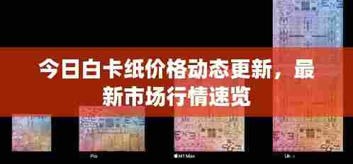 今日白卡纸价格动态更新,最新市场行情速览