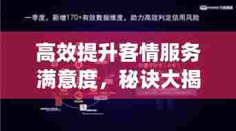 高效提升客情服务满意度,秘诀大揭秘!