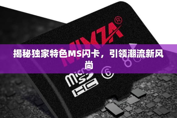 揭秘独家特色MS闪卡,引领潮流新风尚